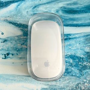 Apple Wireless Magic Mouse